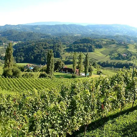 Casa de hóspedes Weingut Rebenhof Moarhauser Ratsch an der Weinstraße